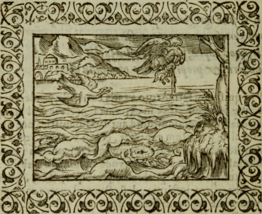 An illustration from Omnia Andreae Alciati v.c. emblemata : cum commentariis, quibus emblematum omnium aperta origine, mens authoris explicatur, & obscura omnia dubiaque illustrantur, 1583, leaf 489