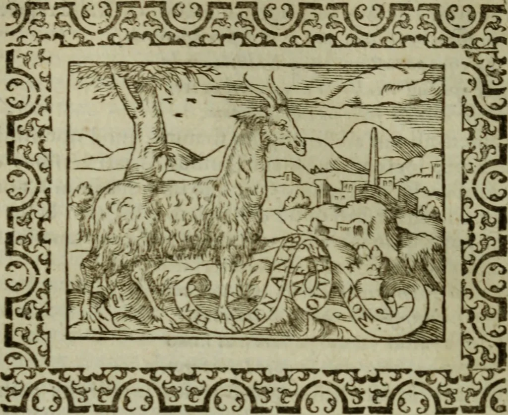 An illustration from Omnia Andreae Alciati v.c. emblemata : cum commentariis, quibus emblematum omnium aperta origine, mens authoris explicatur, & obscura omnia dubiaque illustrantur, 1583, leaf 49