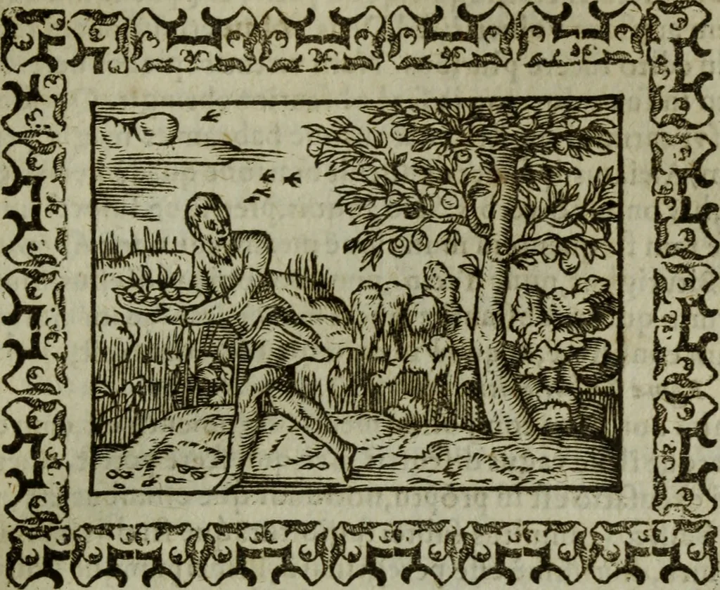 An illustration from Omnia Andreae Alciati v.c. emblemata : cum commentariis, quibus emblematum omnium aperta origine, mens authoris explicatur, & obscura omnia dubiaque illustrantur, 1583, leaf 492