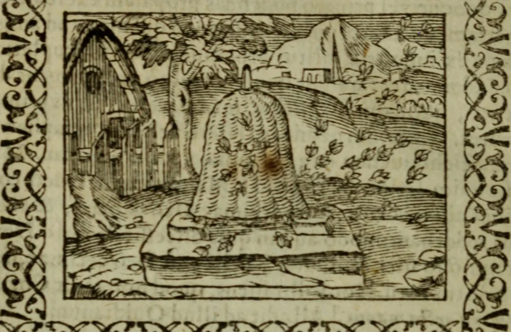 An illustration from Omnia Andreae Alciati v.c. emblemata : cum commentariis, quibus emblematum omnium aperta origine, mens authoris explicatur, & obscura omnia dubiaque illustrantur, 1583, leaf 509