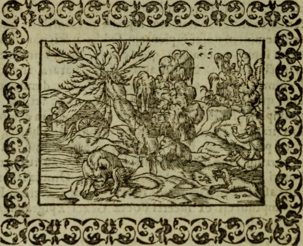 An illustration from Omnia Andreae Alciati v.c. emblemata : cum commentariis, quibus emblematum omnium aperta origine, mens authoris explicatur, & obscura omnia dubiaque illustrantur, 1583, leaf 517