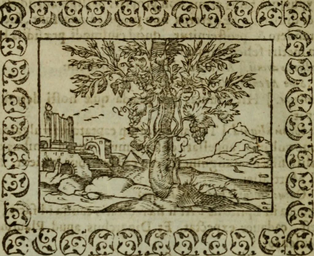 An illustration from Omnia Andreae Alciati v.c. emblemata : cum commentariis, quibus emblematum omnium aperta origine, mens authoris explicatur, & obscura omnia dubiaque illustrantur, 1583, leaf 533