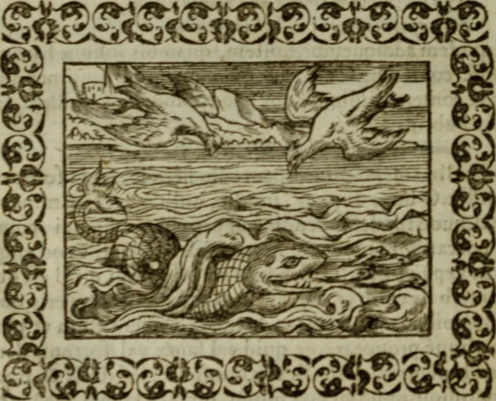 An illustration from Omnia Andreae Alciati v.c. emblemata : cum commentariis, quibus emblematum omnium aperta origine, mens authoris explicatur, & obscura omnia dubiaque illustrantur, 1583, leaf 559