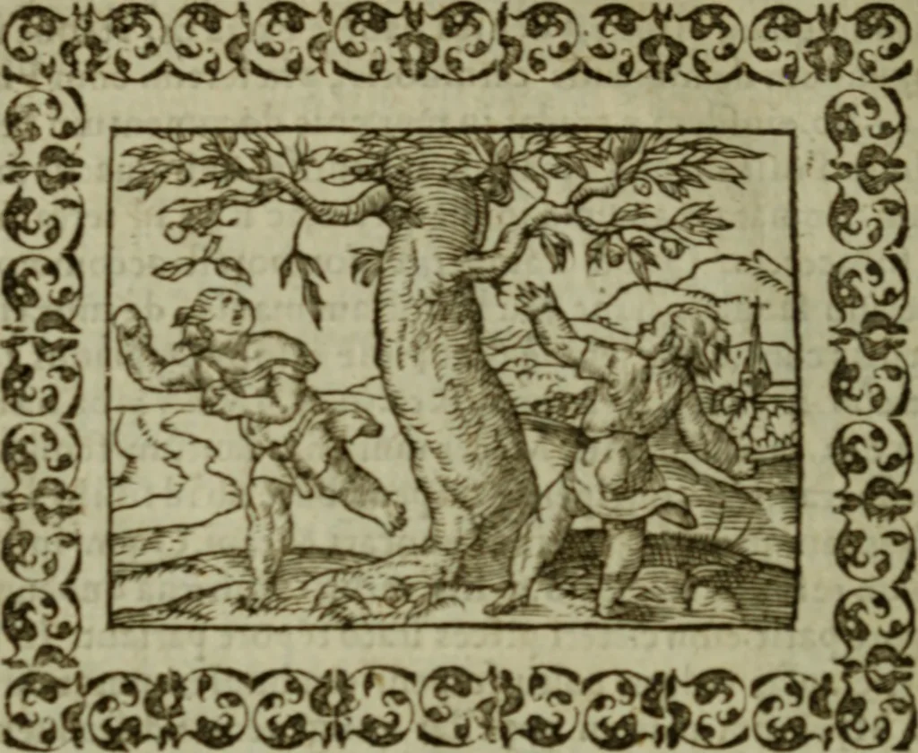 An illustration from Omnia Andreae Alciati v.c. emblemata : cum commentariis, quibus emblematum omnium aperta origine, mens authoris explicatur, & obscura omnia dubiaque illustrantur, 1583, leaf 635