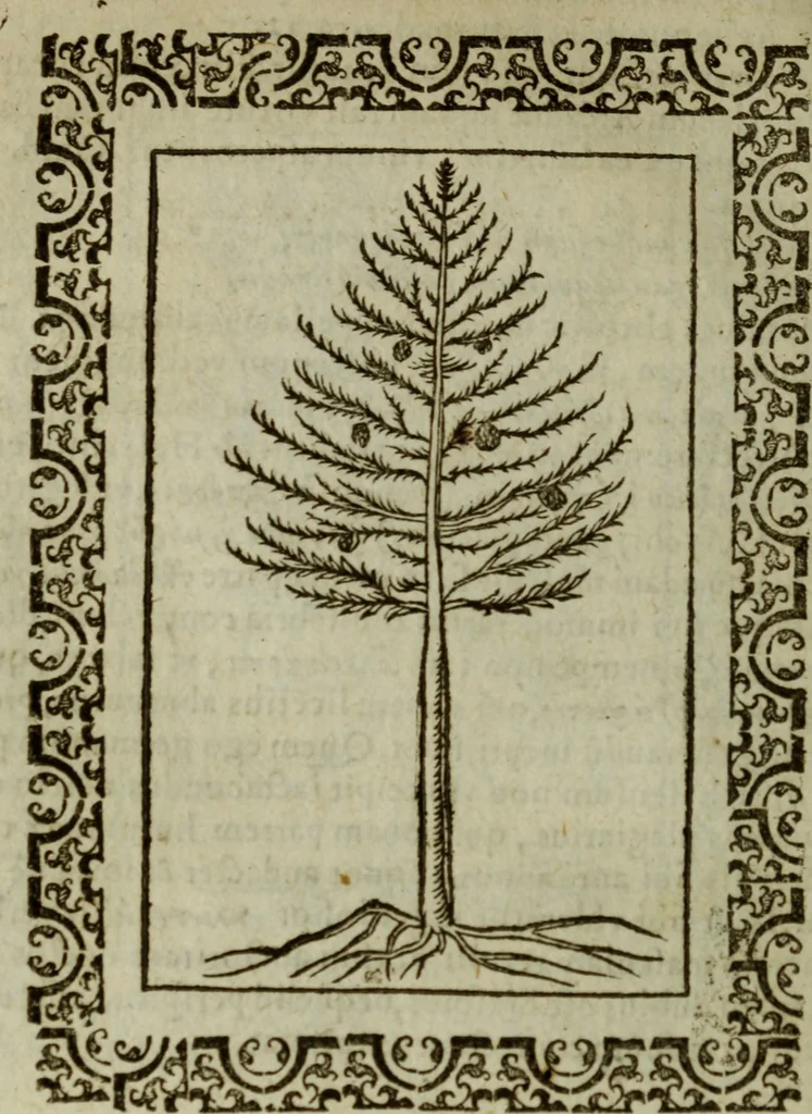 An illustration from Omnia Andreae Alciati v.c. emblemata : cum commentariis, quibus emblematum omnium aperta origine, mens authoris explicatur, & obscura omnia dubiaque illustrantur, 1583, leaf 659