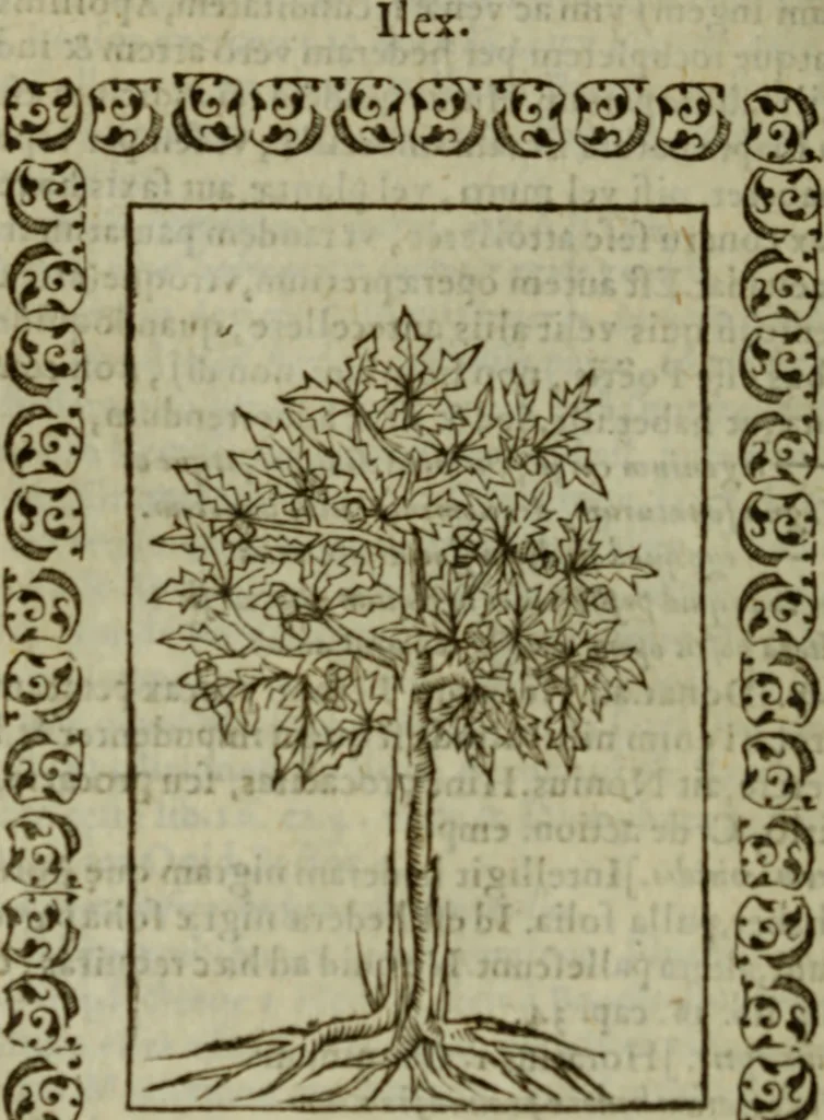 An illustration from Omnia Andreae Alciati v.c. emblemata : cum commentariis, quibus emblematum omnium aperta origine, mens authoris explicatur, & obscura omnia dubiaque illustrantur, 1583, leaf 665