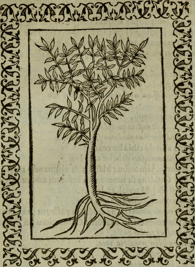 An illustration from Omnia Andreae Alciati v.c. emblemata : cum commentariis, quibus emblematum omnium aperta origine, mens authoris explicatur, & obscura omnia dubiaque illustrantur, 1583, leaf 668