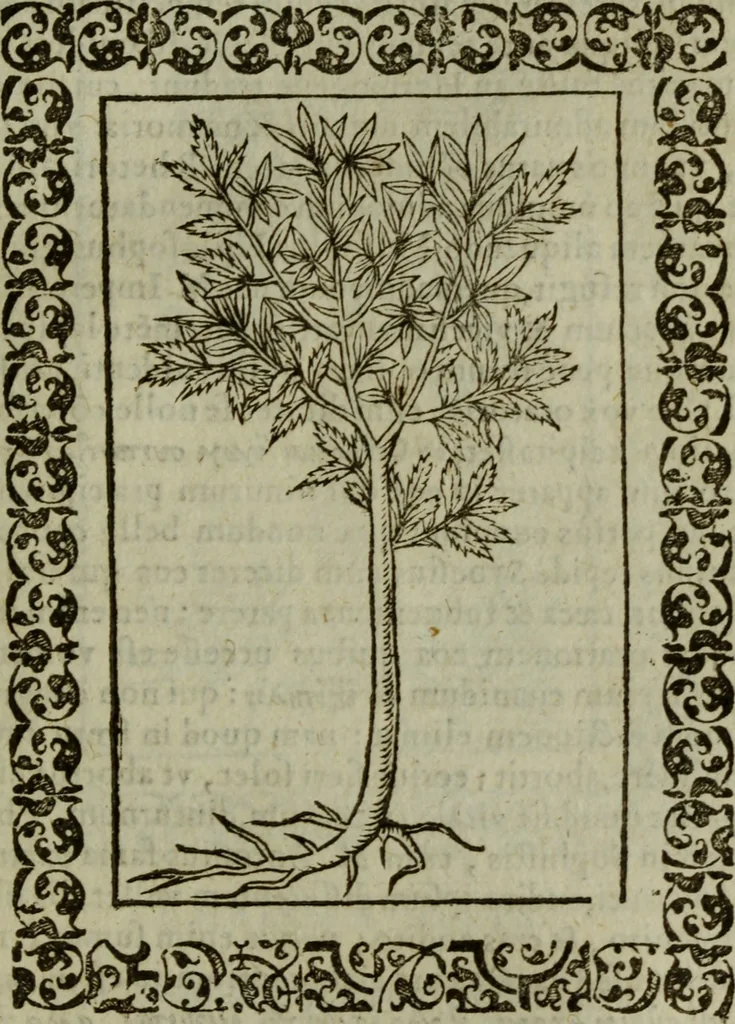 An illustration from Omnia Andreae Alciati v.c. emblemata : cum commentariis, quibus emblematum omnium aperta origine, mens authoris explicatur, & obscura omnia dubiaque illustrantur, 1583, leaf 670