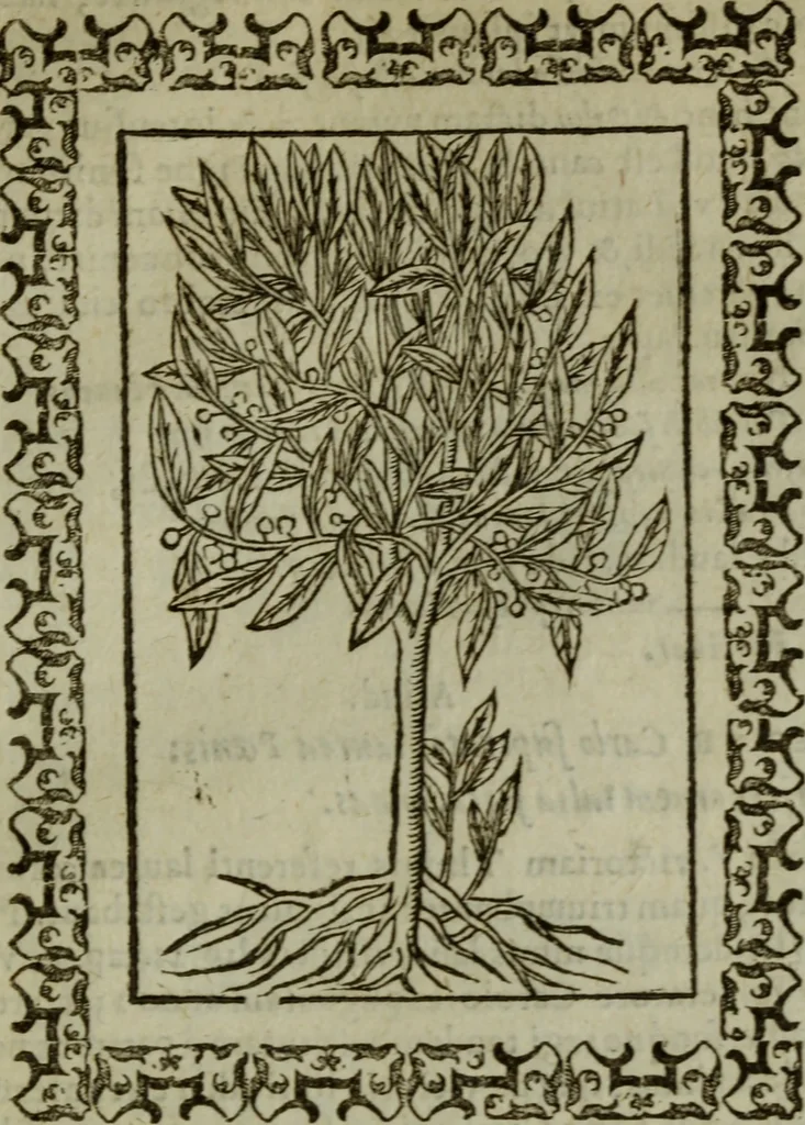 An illustration from Omnia Andreae Alciati v.c. emblemata : cum commentariis, quibus emblematum omnium aperta origine, mens authoris explicatur, & obscura omnia dubiaque illustrantur, 1583, leaf 674