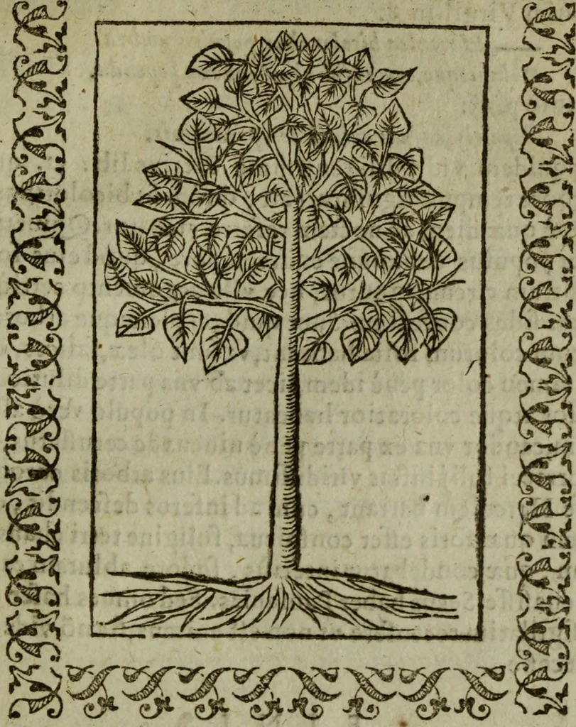 An illustration from Omnia Andreae Alciati v.c. emblemata : cum commentariis, quibus emblematum omnium aperta origine, mens authoris explicatur, & obscura omnia dubiaque illustrantur, 1583, leaf 676
