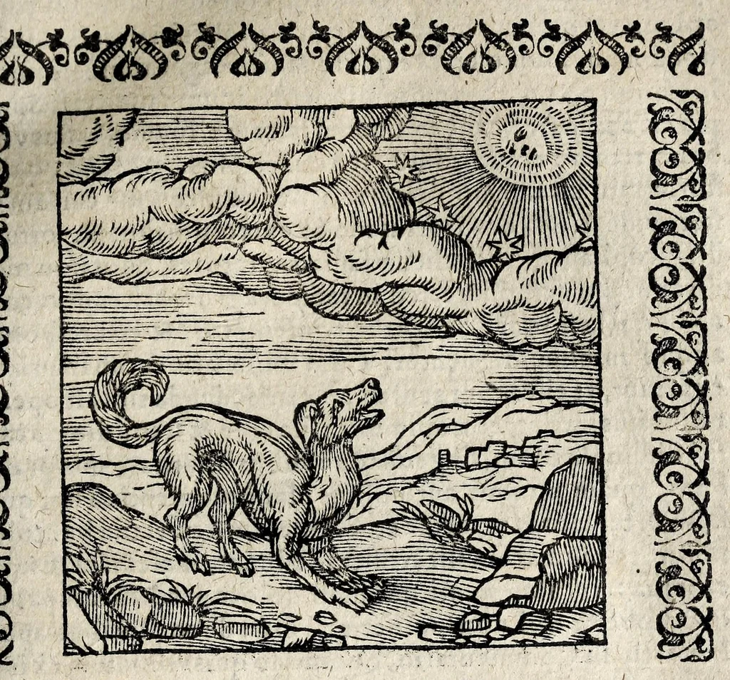 An illustration from Omnia Andreae Alciati v.c. Emblemata : cum commentariis quibus emblematum detecta origine, dubia omnia et obscura illustrantur, 1618, leaf 809