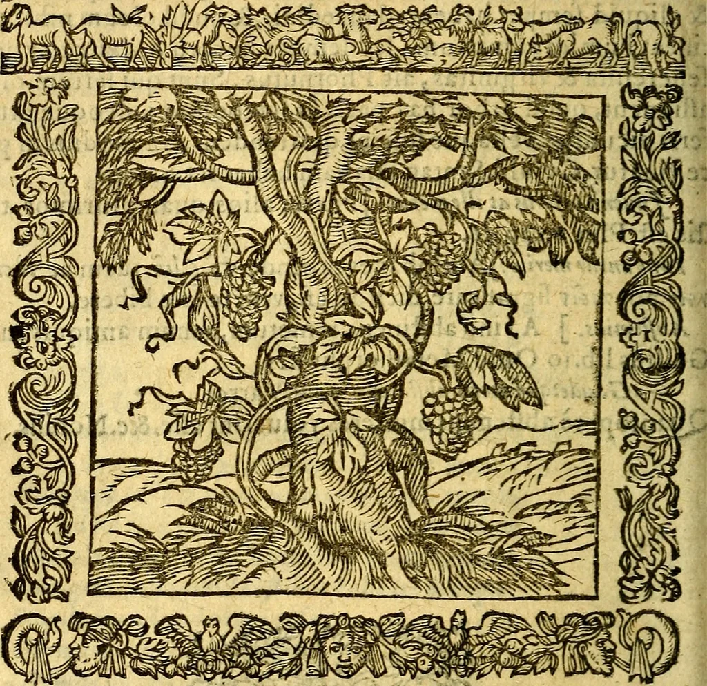 An illustration from Omnia Andreae Alciati v.c. emblemata, cum commentariis, quibus emblematum aperta origine mens auctoris explicatur, & obscura omnia, dubiáque illustrantur Adiectae ad calcem Notae posteriores, 1589, leaf 157