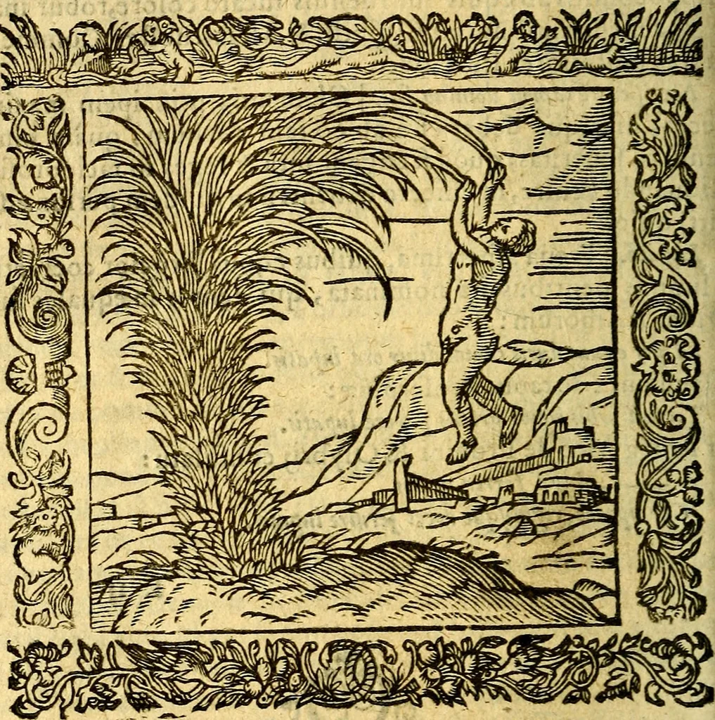 An illustration from Omnia Andreae Alciati v.c. emblemata, cum commentariis, quibus emblematum aperta origine mens auctoris explicatur, & obscura omnia, dubiáque illustrantur Adiectae ad calcem Notae posteriores, 1589, leaf 209