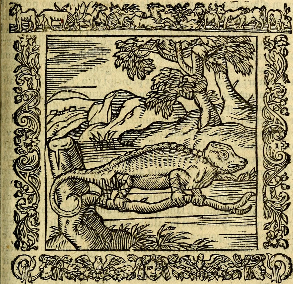 An illustration from Omnia Andreae Alciati v.c. emblemata, cum commentariis, quibus emblematum aperta origine mens auctoris explicatur, & obscura omnia, dubiáque illustrantur Adiectae ad calcem Notae posteriores, 1589, leaf 262