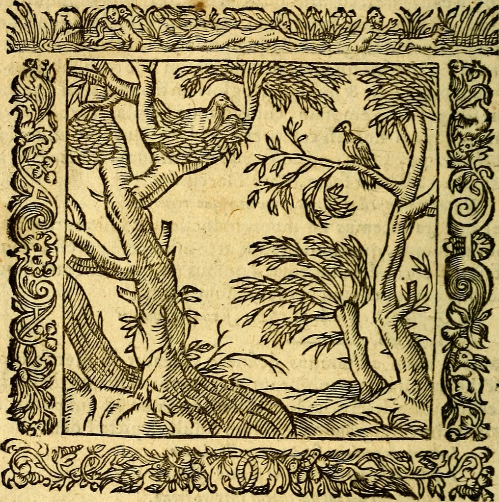 An illustration from Omnia Andreae Alciati v.c. emblemata, cum commentariis, quibus emblematum aperta origine mens auctoris explicatur, & obscura omnia, dubiáque illustrantur Adiectae ad calcem Notae posteriores, 1589, leaf 281