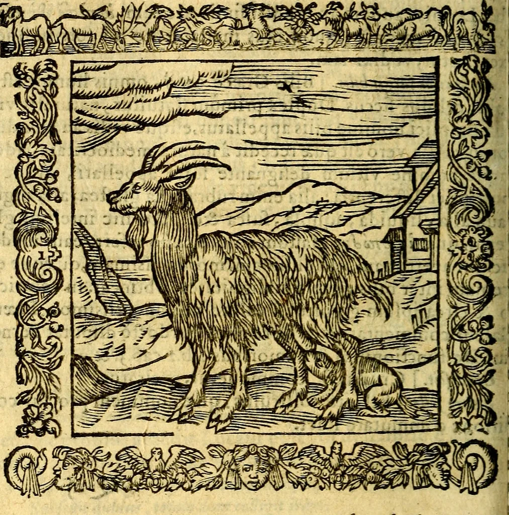 An illustration from Omnia Andreae Alciati v.c. emblemata, cum commentariis, quibus emblematum aperta origine mens auctoris explicatur, & obscura omnia, dubiáque illustrantur Adiectae ad calcem Notae posteriores, 1589, leaf 291