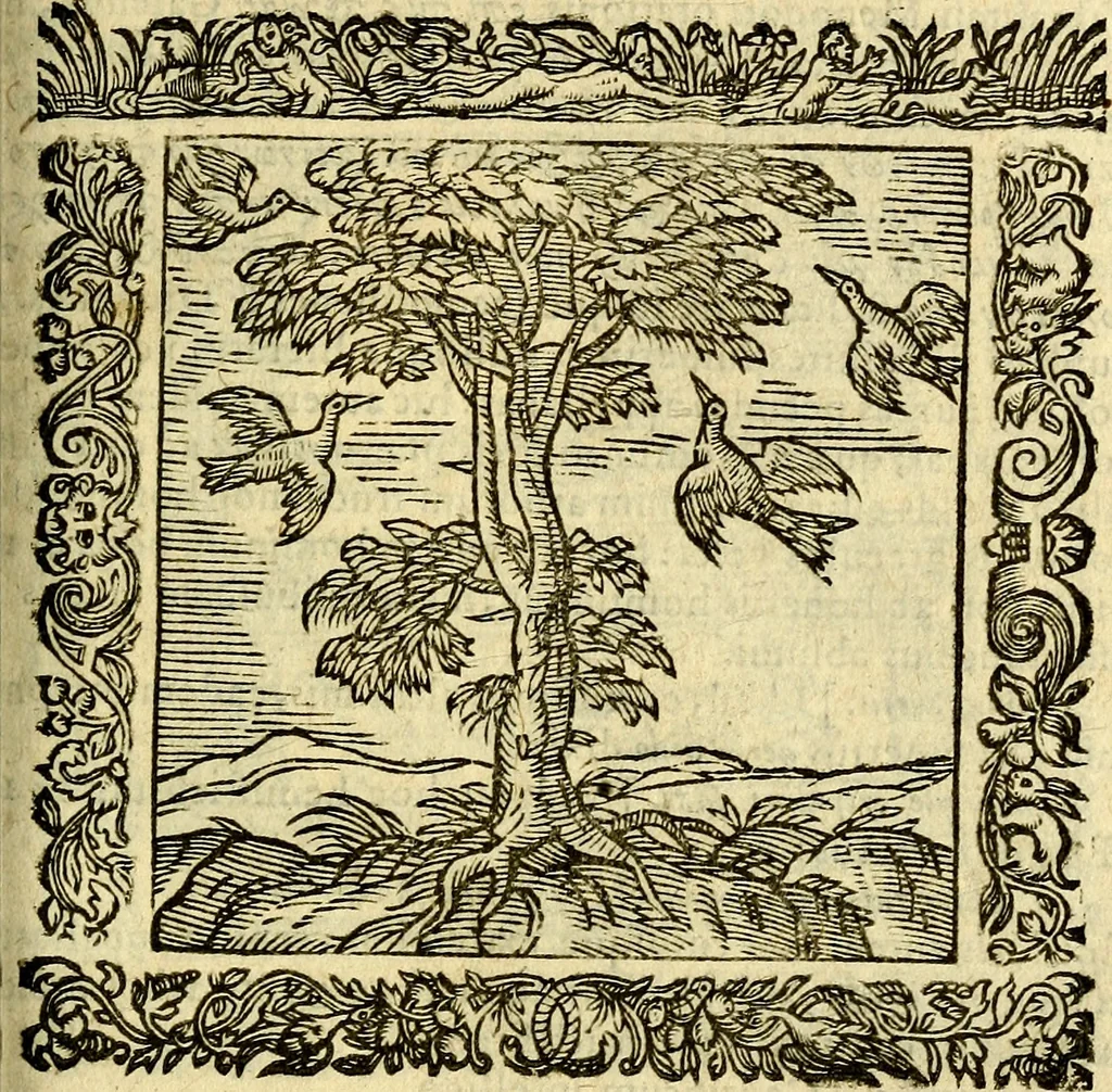 An illustration from Omnia Andreae Alciati v.c. emblemata, cum commentariis, quibus emblematum aperta origine mens auctoris explicatur, & obscura omnia, dubiáque illustrantur Adiectae ad calcem Notae posteriores, 1589, leaf 316