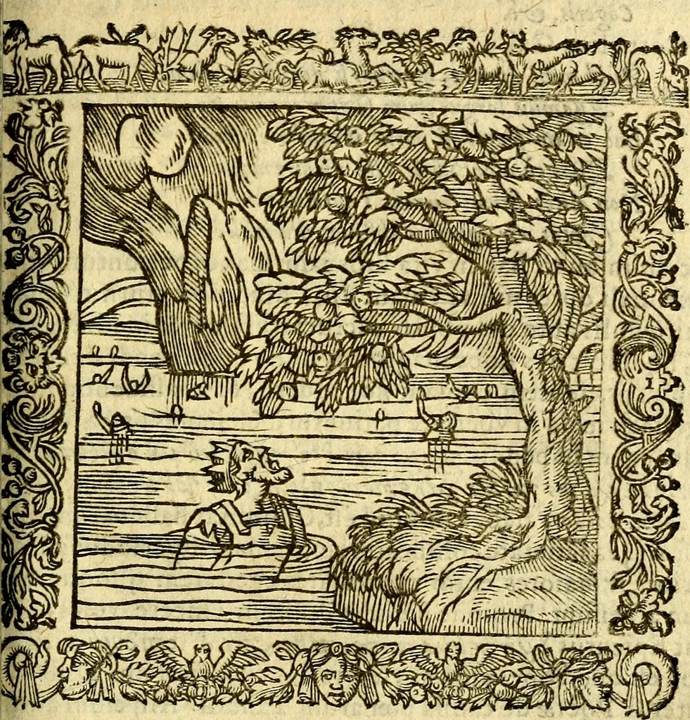 An illustration from Omnia Andreae Alciati v.c. emblemata, cum commentariis, quibus emblematum aperta origine mens auctoris explicatur, & obscura omnia, dubiáque illustrantur Adiectae ad calcem Notae posteriores, 1589, leaf 344