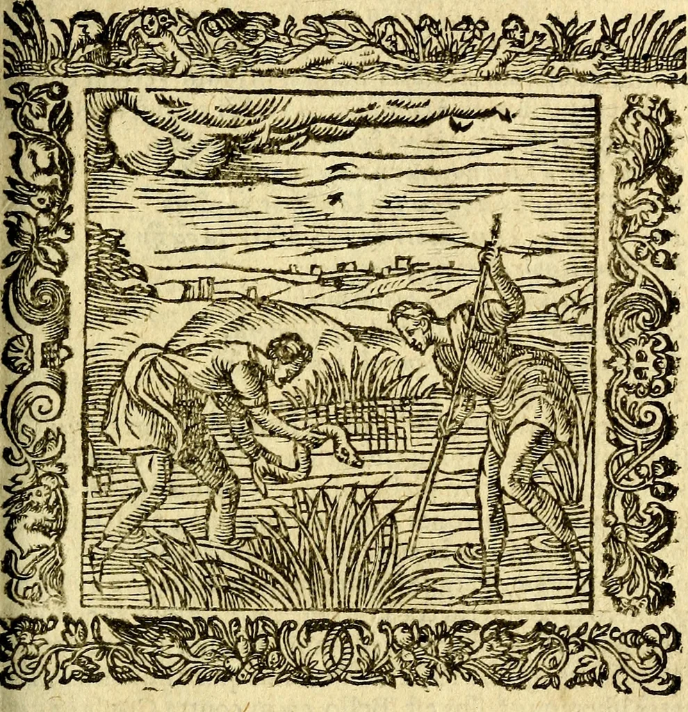 An illustration from Omnia Andreae Alciati v.c. emblemata, cum commentariis, quibus emblematum aperta origine mens auctoris explicatur, & obscura omnia, dubiáque illustrantur Adiectae ad calcem Notae posteriores, 1589, leaf 354
