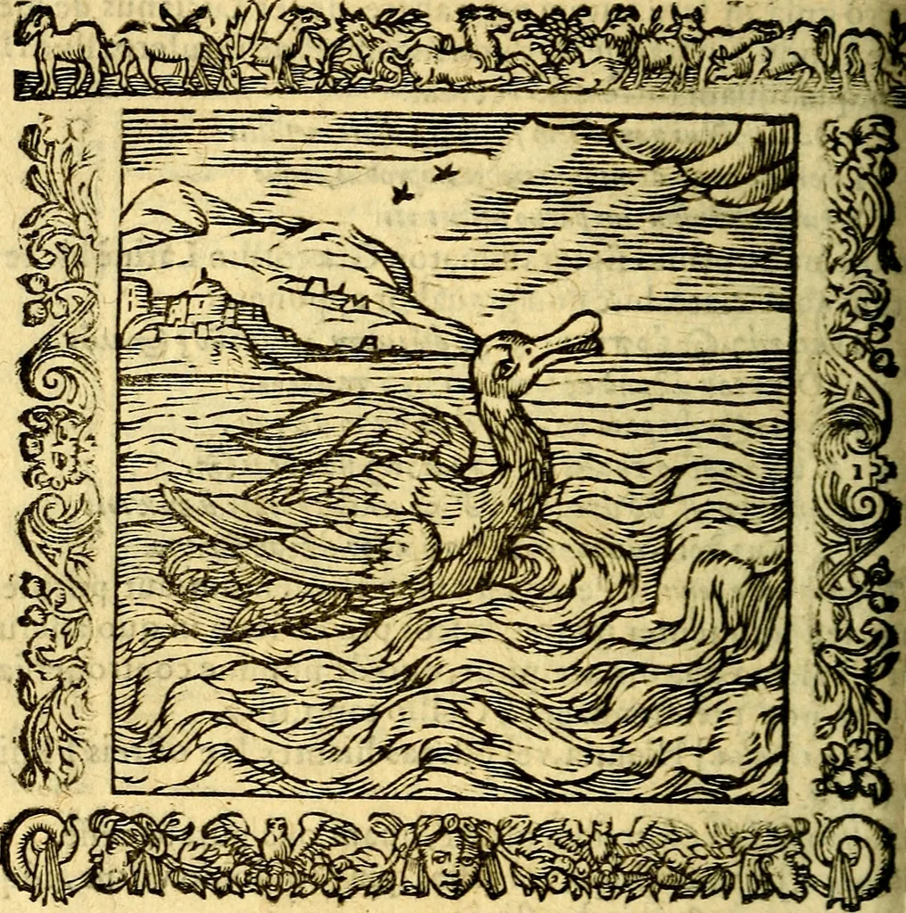 An illustration from Omnia Andreae Alciati v.c. emblemata, cum commentariis, quibus emblematum aperta origine mens auctoris explicatur, & obscura omnia, dubiáque illustrantur Adiectae ad calcem Notae posteriores, 1589, leaf 371
