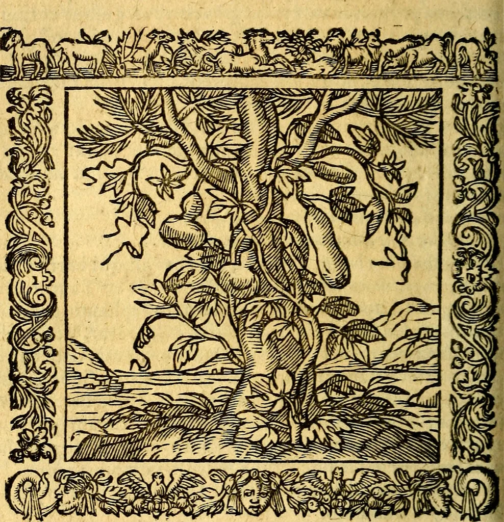 An illustration from Omnia Andreae Alciati v.c. emblemata, cum commentariis, quibus emblematum aperta origine mens auctoris explicatur, & obscura omnia, dubiáque illustrantur Adiectae ad calcem Notae posteriores, 1589, leaf 477
