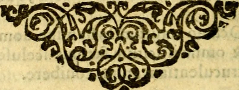 An illustration from Omnia Andreae Alciati v.c. emblemata, cum commentariis, quibus emblematum aperta origine mens auctoris explicatur, & obscura omnia, dubiáque illustrantur Adiectae ad calcem Notae posteriores, 1589, leaf 527