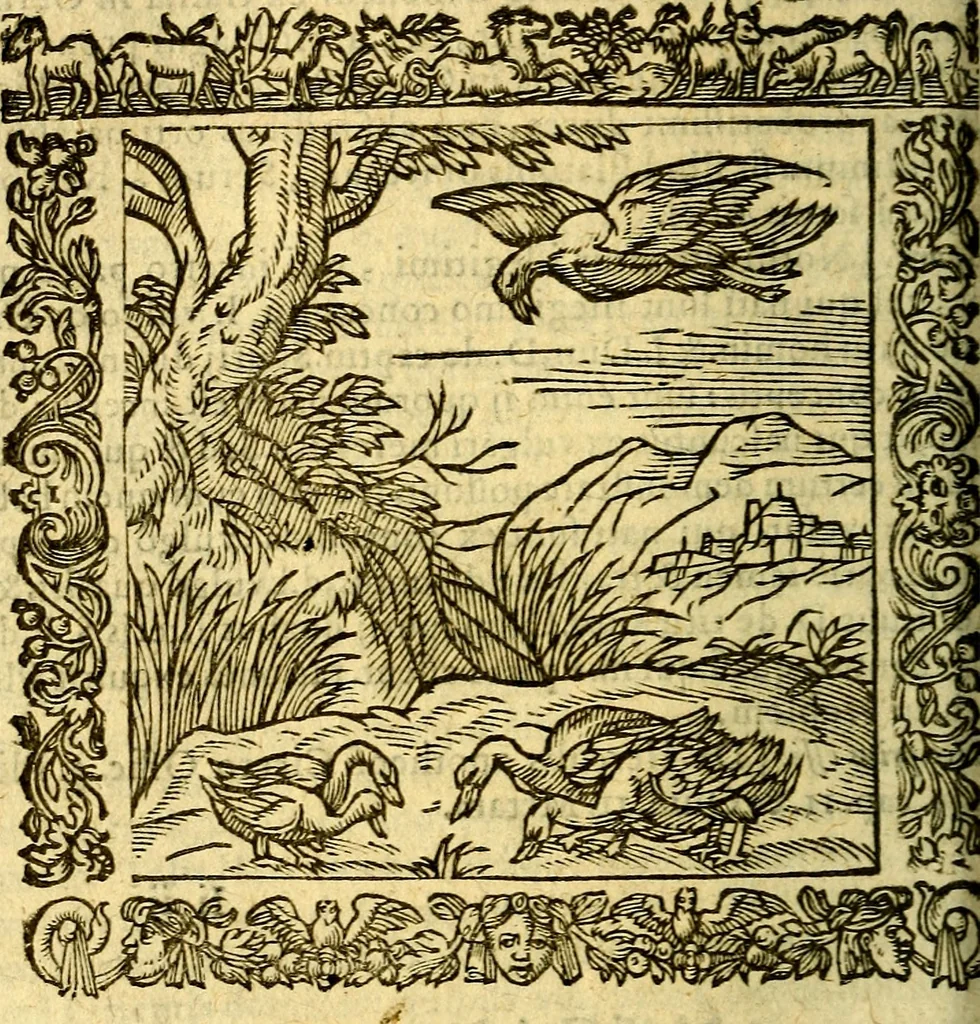 An illustration from Omnia Andreae Alciati v.c. emblemata, cum commentariis, quibus emblematum aperta origine mens auctoris explicatur, & obscura omnia, dubiáque illustrantur Adiectae ad calcem Notae posteriores, 1589, leaf 531