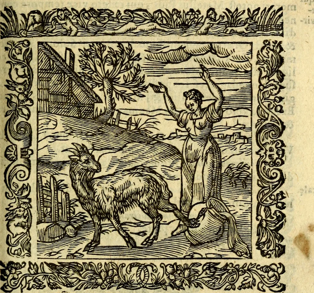 An illustration from Omnia Andreae Alciati v.c. emblemata, cum commentariis, quibus emblematum aperta origine mens auctoris explicatur, & obscura omnia, dubiáque illustrantur Adiectae ad calcem Notae posteriores, 1589, leaf 534