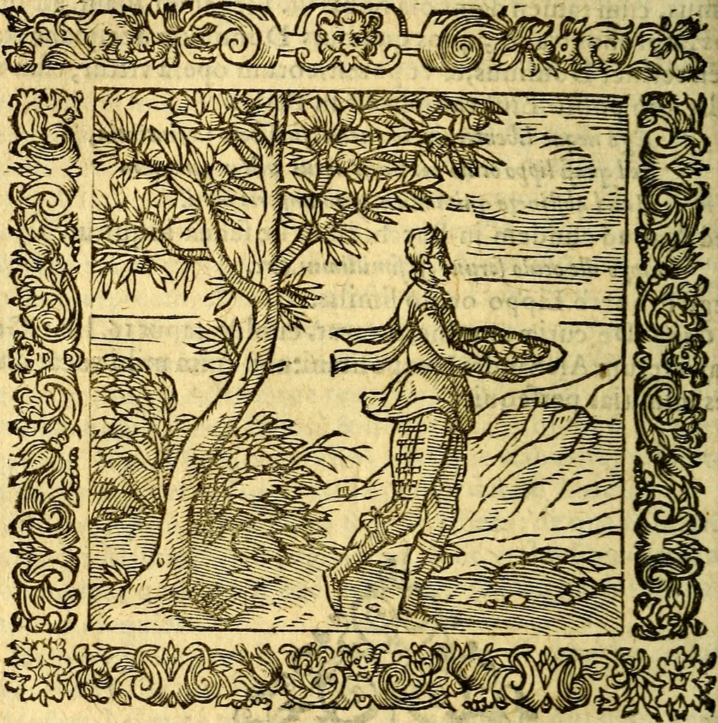 An illustration from Omnia Andreae Alciati v.c. emblemata, cum commentariis, quibus emblematum aperta origine mens auctoris explicatur, & obscura omnia, dubiáque illustrantur Adiectae ad calcem Notae posteriores, 1589, leaf 539