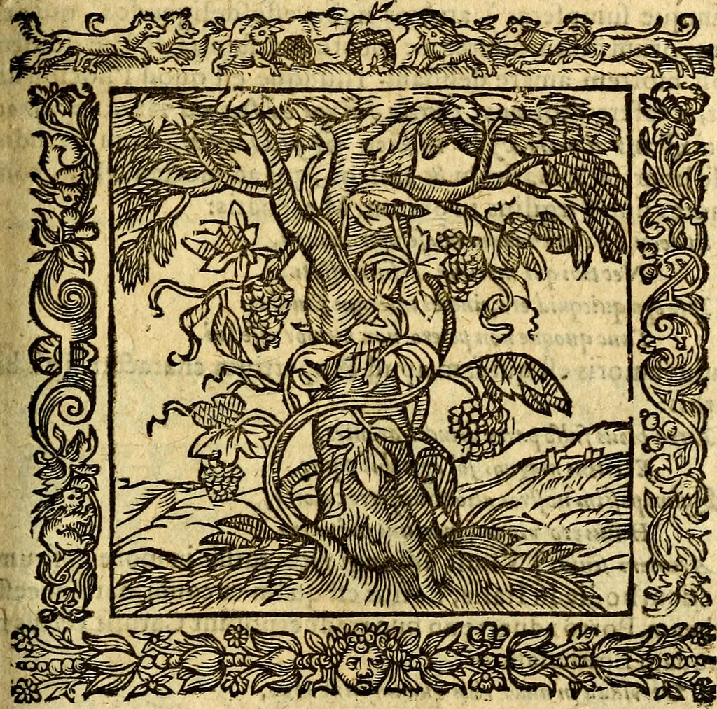 An illustration from Omnia Andreae Alciati v.c. emblemata, cum commentariis, quibus emblematum aperta origine mens auctoris explicatur, & obscura omnia, dubiáque illustrantur Adiectae ad calcem Notae posteriores, 1589, leaf 584