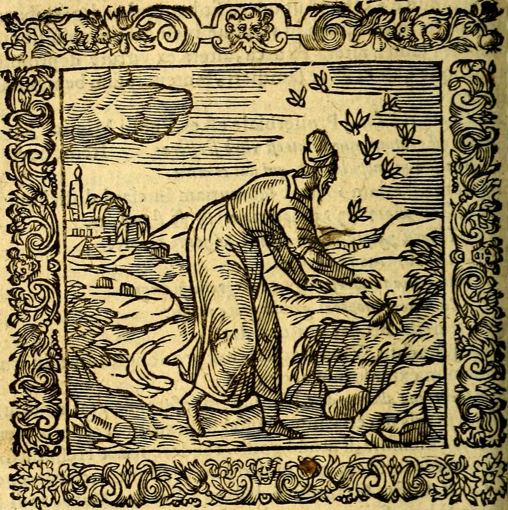 An illustration from Omnia Andreae Alciati v.c. emblemata, cum commentariis, quibus emblematum aperta origine mens auctoris explicatur, & obscura omnia, dubiáque illustrantur Adiectae ad calcem Notae posteriores, 1589, leaf 595