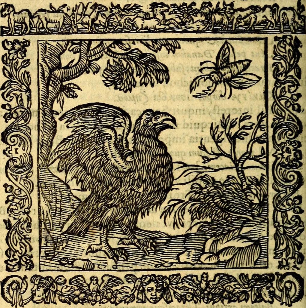 An illustration from Omnia Andreae Alciati v.c. emblemata, cum commentariis, quibus emblematum aperta origine mens auctoris explicatur, & obscura omnia, dubiáque illustrantur Adiectae ad calcem Notae posteriores, 1589, leaf 609