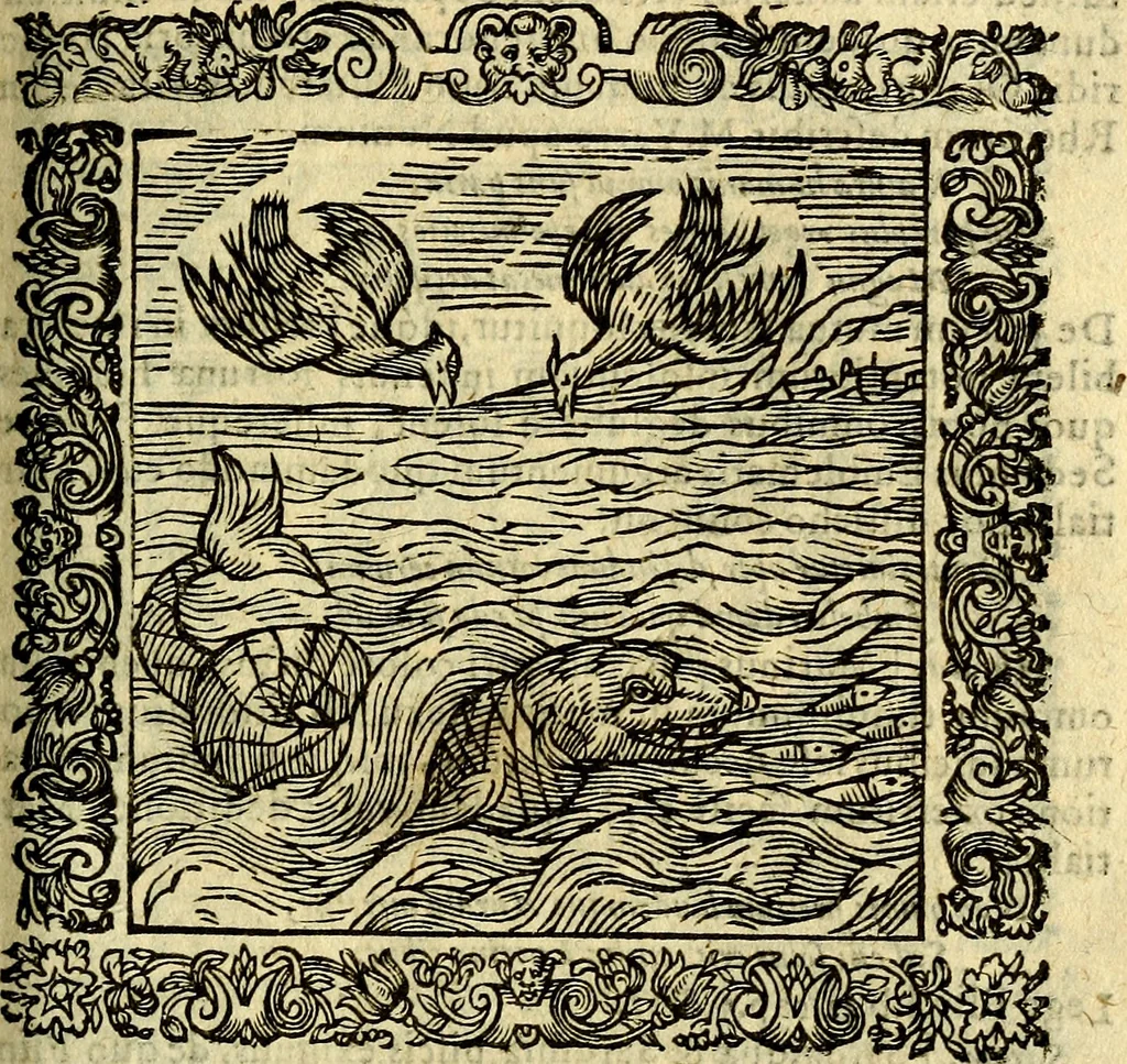 An illustration from Omnia Andreae Alciati v.c. emblemata, cum commentariis, quibus emblematum aperta origine mens auctoris explicatur, & obscura omnia, dubiáque illustrantur Adiectae ad calcem Notae posteriores, 1589, leaf 612