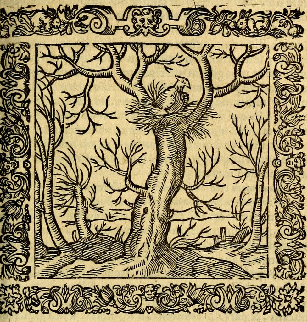An illustration from Omnia Andreae Alciati v.c. emblemata, cum commentariis, quibus emblematum aperta origine mens auctoris explicatur, & obscura omnia, dubiáque illustrantur Adiectae ad calcem Notae posteriores, 1589, leaf 692
