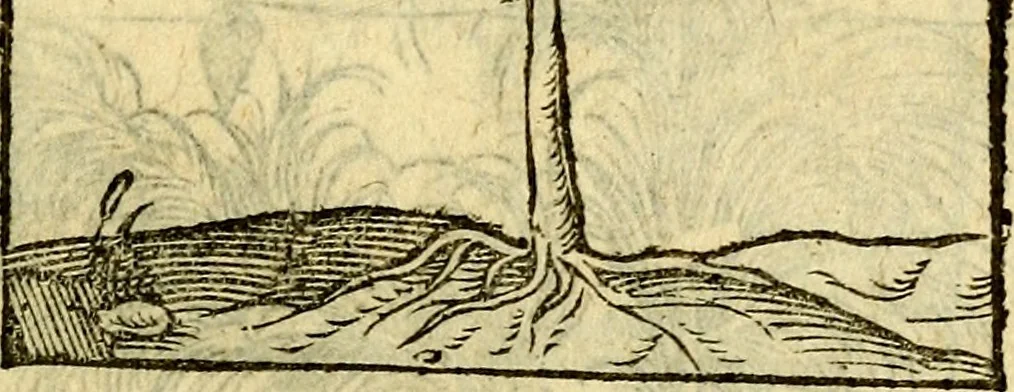 An illustration from Omnia Andreae Alciati v.c. emblemata, cum commentariis, quibus emblematum aperta origine mens auctoris explicatur, & obscura omnia, dubiáque illustrantur Adiectae ad calcem Notae posteriores, 1589, leaf 716