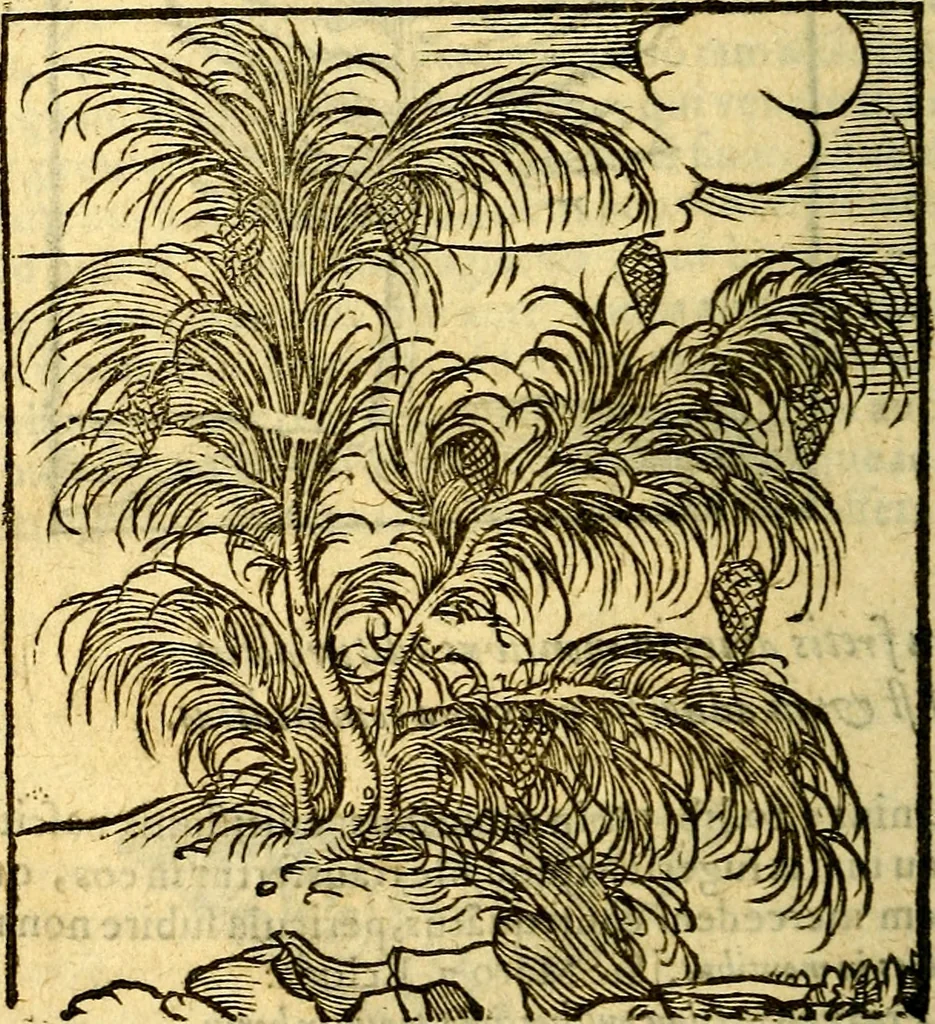 An illustration from Omnia Andreae Alciati v.c. emblemata, cum commentariis, quibus emblematum aperta origine mens auctoris explicatur, & obscura omnia, dubiáque illustrantur Adiectae ad calcem Notae posteriores, 1589, leaf 717