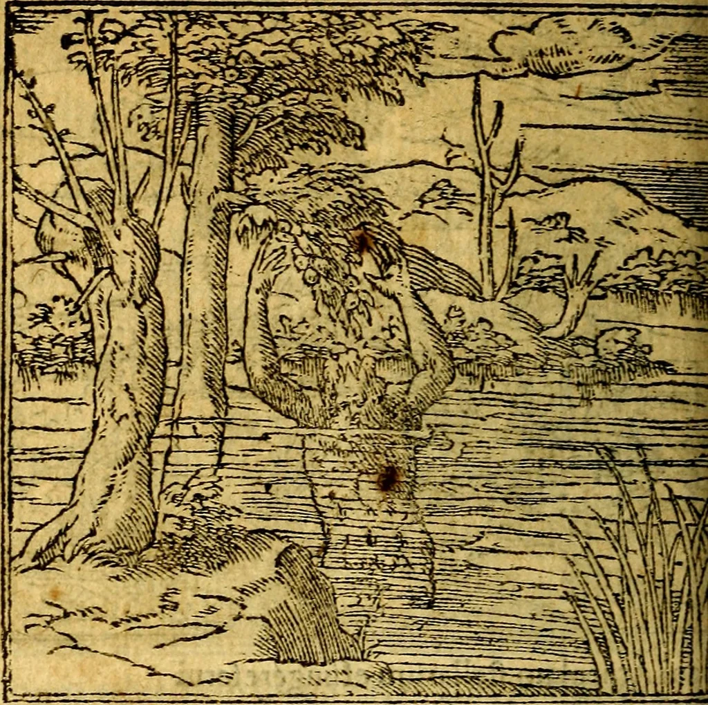 An illustration from Omnia D. And. Alciati emblemata : ad quae singula, praeter concinnas acutásque inscriptiones, lepidas & expressas imagines, ac caetera omnia, quae prioribus nostris editionibus cúm ad eorum distinctionem, tum ad ornatum & correctionem adhibita continebantur, : nunc primùm perelegantia persubtiliáq[ue] adiecta sunt epimuthia, quibus emblematum amplitudo quaecunq[ue] in iis dubia sunt aut obscura, tanquam perspicuis illustrantur, 1566, leaf 101