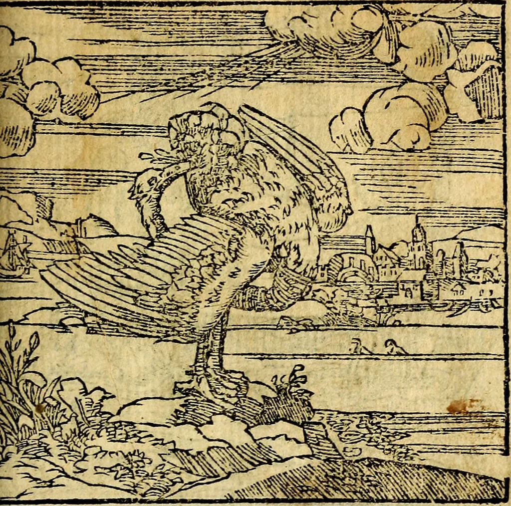 An illustration from Omnia D. And. Alciati emblemata : ad quae singula, praeter concinnas acutásque inscriptiones, lepidas & expressas imagines, ac caetera omnia, quae prioribus nostris editionibus cúm ad eorum distinctionem, tum ad ornatum & correctionem adhibita continebantur, : nunc primùm perelegantia persubtiliáq[ue] adiecta sunt epimuthia, quibus emblematum amplitudo quaecunq[ue] in iis dubia sunt aut obscura, tanquam perspicuis illustrantur, 1566, leaf 104