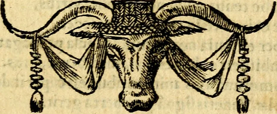 An illustration from Omnia D. And. Alciati emblemata : ad quae singula, praeter concinnas acutásque inscriptiones, lepidas & expressas imagines, ac caetera omnia, quae prioribus nostris editionibus cúm ad eorum distinctionem, tum ad ornatum & correctionem adhibita continebantur, : nunc primùm perelegantia persubtiliáq[ue] adiecta sunt epimuthia, quibus emblematum amplitudo quaecunq[ue] in iis dubia sunt aut obscura, tanquam perspicuis illustrantur, 1566, leaf 114