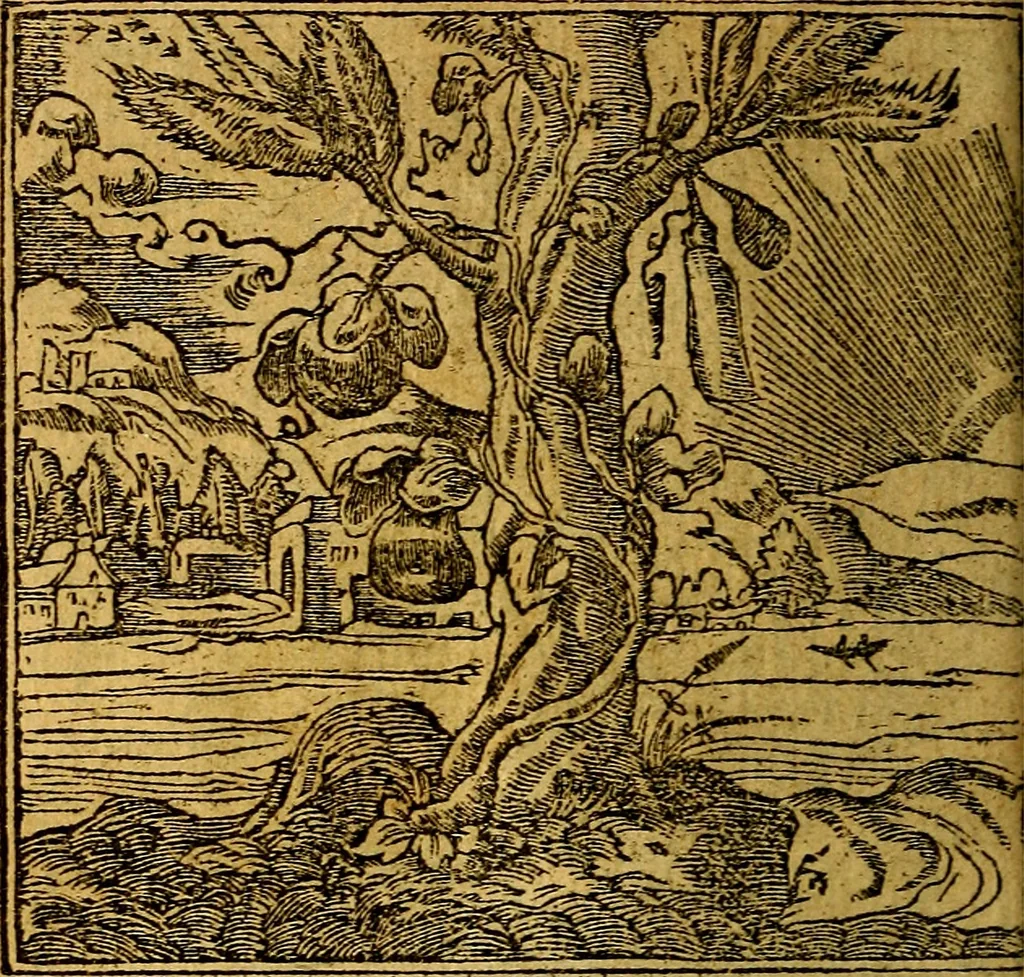 An illustration from Omnia D. And. Alciati emblemata : ad quae singula, praeter concinnas acutásque inscriptiones, lepidas & expressas imagines, ac caetera omnia, quae prioribus nostris editionibus cúm ad eorum distinctionem, tum ad ornatum & correctionem adhibita continebantur, : nunc primùm perelegantia persubtiliáq[ue] adiecta sunt epimuthia, quibus emblematum amplitudo quaecunq[ue] in iis dubia sunt aut obscura, tanquam perspicuis illustrantur, 1566, leaf 149