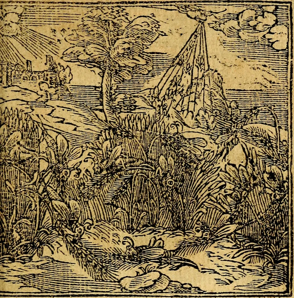 An illustration from Omnia D. And. Alciati emblemata : ad quae singula, praeter concinnas acutásque inscriptiones, lepidas & expressas imagines, ac caetera omnia, quae prioribus nostris editionibus cúm ad eorum distinctionem, tum ad ornatum & correctionem adhibita continebantur, : nunc primùm perelegantia persubtiliáq[ue] adiecta sunt epimuthia, quibus emblematum amplitudo quaecunq[ue] in iis dubia sunt aut obscura, tanquam perspicuis illustrantur, 1566, leaf 152
