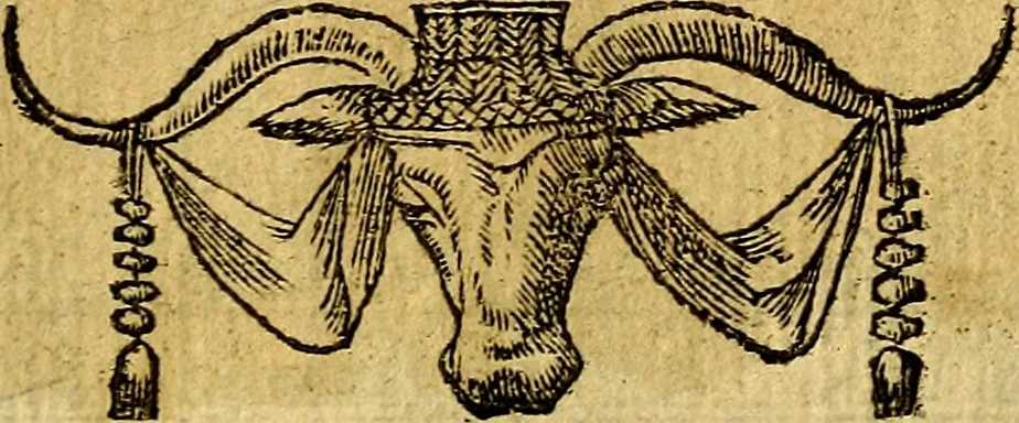 An illustration from Omnia D. And. Alciati emblemata : ad quae singula, praeter concinnas acutásque inscriptiones, lepidas & expressas imagines, ac caetera omnia, quae prioribus nostris editionibus cúm ad eorum distinctionem, tum ad ornatum & correctionem adhibita continebantur, : nunc primùm perelegantia persubtiliáq[ue] adiecta sunt epimuthia, quibus emblematum amplitudo quaecunq[ue] in iis dubia sunt aut obscura, tanquam perspicuis illustrantur, 1566, leaf 164