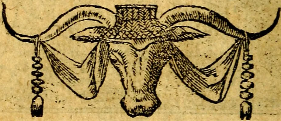 An illustration from Omnia D. And. Alciati emblemata : ad quae singula, praeter concinnas acutásque inscriptiones, lepidas & expressas imagines, ac caetera omnia, quae prioribus nostris editionibus cúm ad eorum distinctionem, tum ad ornatum & correctionem adhibita continebantur, : nunc primùm perelegantia persubtiliáq[ue] adiecta sunt epimuthia, quibus emblematum amplitudo quaecunq[ue] in iis dubia sunt aut obscura, tanquam perspicuis illustrantur, 1566, leaf 17