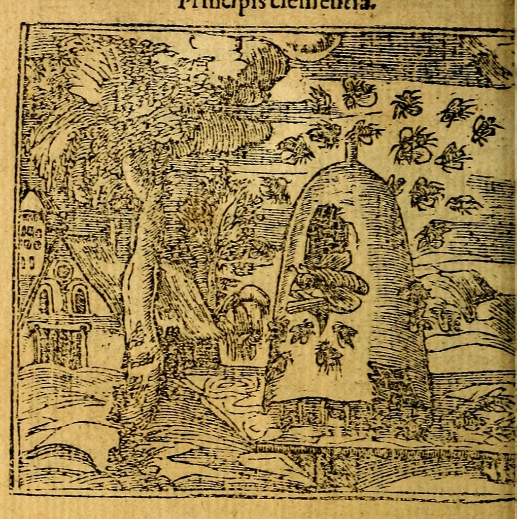 An illustration from Omnia D. And. Alciati emblemata : ad quae singula, praeter concinnas acutásque inscriptiones, lepidas & expressas imagines, ac caetera omnia, quae prioribus nostris editionibus cúm ad eorum distinctionem, tum ad ornatum & correctionem adhibita continebantur, : nunc primùm perelegantia persubtiliáq[ue] adiecta sunt epimuthia, quibus emblematum amplitudo quaecunq[ue] in iis dubia sunt aut obscura, tanquam perspicuis illustrantur, 1566, leaf 179