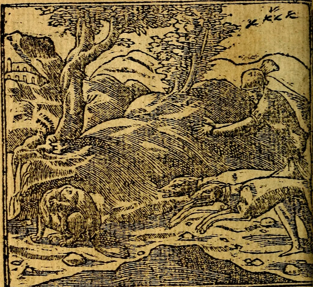 An illustration from Omnia D. And. Alciati emblemata : ad quae singula, praeter concinnas acutásque inscriptiones, lepidas & expressas imagines, ac caetera omnia, quae prioribus nostris editionibus cúm ad eorum distinctionem, tum ad ornatum & correctionem adhibita continebantur, : nunc primùm perelegantia persubtiliáq[ue] adiecta sunt epimuthia, quibus emblematum amplitudo quaecunq[ue] in iis dubia sunt aut obscura, tanquam perspicuis illustrantur, 1566, leaf 183