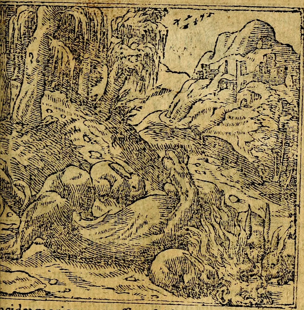 An illustration from Omnia D. And. Alciati emblemata : ad quae singula, praeter concinnas acutásque inscriptiones, lepidas & expressas imagines, ac caetera omnia, quae prioribus nostris editionibus cúm ad eorum distinctionem, tum ad ornatum & correctionem adhibita continebantur, : nunc primùm perelegantia persubtiliáq[ue] adiecta sunt epimuthia, quibus emblematum amplitudo quaecunq[ue] in iis dubia sunt aut obscura, tanquam perspicuis illustrantur, 1566, leaf 184