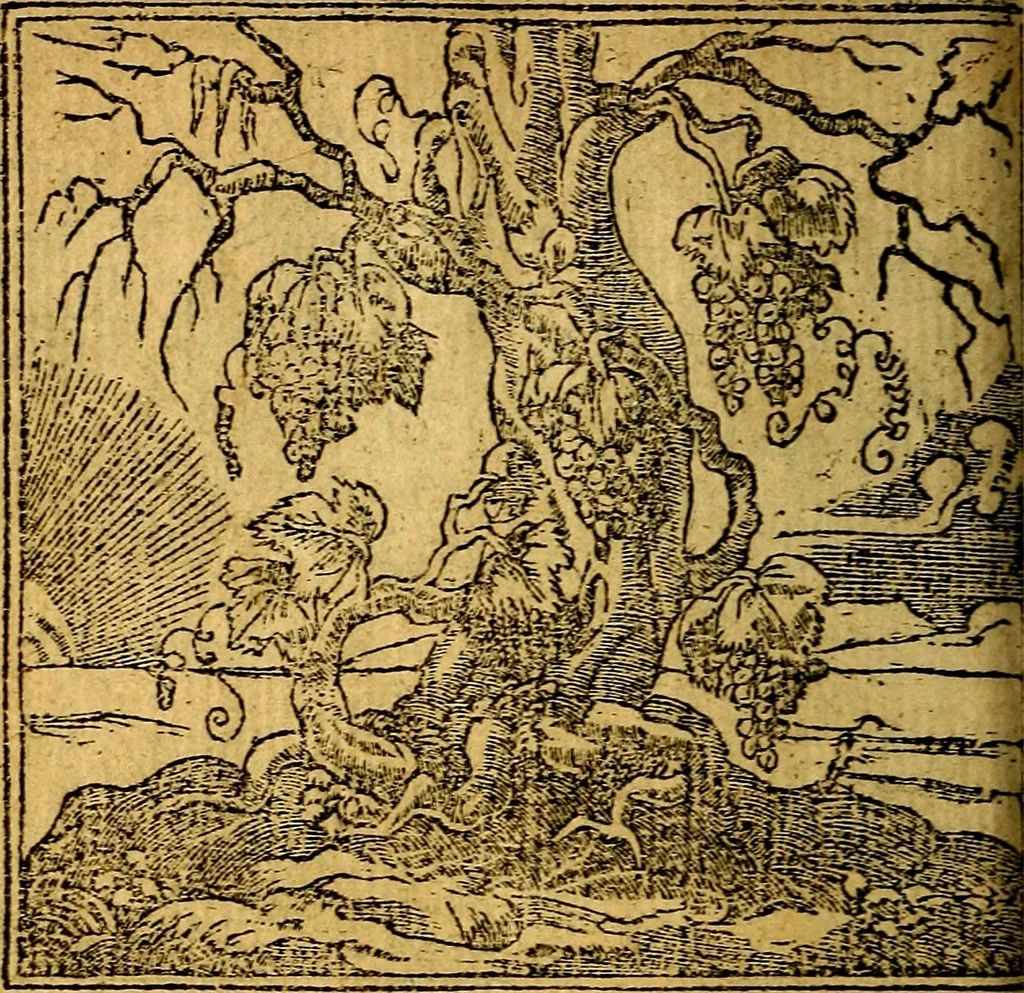 An illustration from Omnia D. And. Alciati emblemata : ad quae singula, praeter concinnas acutásque inscriptiones, lepidas & expressas imagines, ac caetera omnia, quae prioribus nostris editionibus cúm ad eorum distinctionem, tum ad ornatum & correctionem adhibita continebantur, : nunc primùm perelegantia persubtiliáq[ue] adiecta sunt epimuthia, quibus emblematum amplitudo quaecunq[ue] in iis dubia sunt aut obscura, tanquam perspicuis illustrantur, 1566, leaf 191