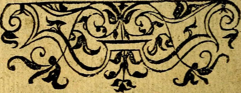An illustration from Omnia D. And. Alciati emblemata : ad quae singula, praeter concinnas acutásque inscriptiones, lepidas & expressas imagines, ac caetera omnia, quae prioribus nostris editionibus cúm ad eorum distinctionem, tum ad ornatum & correctionem adhibita continebantur, : nunc primùm perelegantia persubtiliáq[ue] adiecta sunt epimuthia, quibus emblematum amplitudo quaecunq[ue] in iis dubia sunt aut obscura, tanquam perspicuis illustrantur, 1566, leaf 201