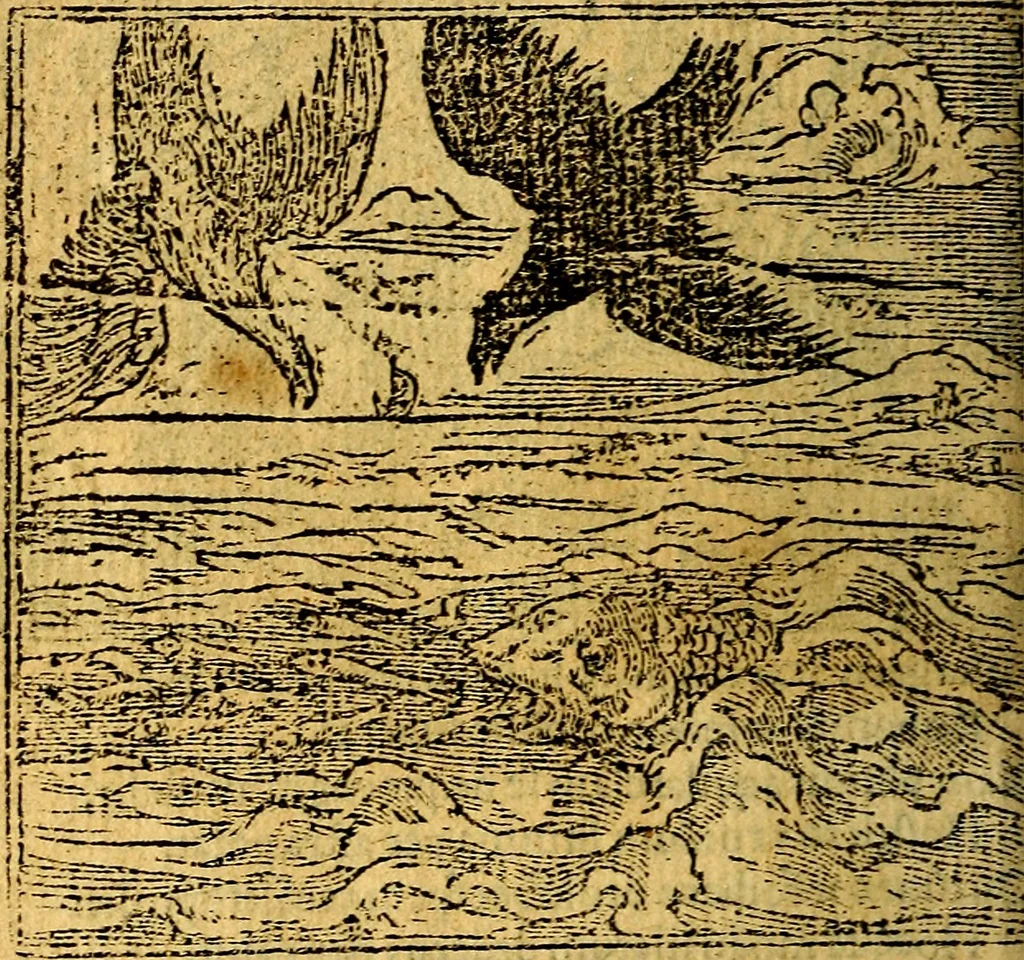 An illustration from Omnia D. And. Alciati emblemata : ad quae singula, praeter concinnas acutásque inscriptiones, lepidas & expressas imagines, ac caetera omnia, quae prioribus nostris editionibus cúm ad eorum distinctionem, tum ad ornatum & correctionem adhibita continebantur, : nunc primùm perelegantia persubtiliáq[ue] adiecta sunt epimuthia, quibus emblematum amplitudo quaecunq[ue] in iis dubia sunt aut obscura, tanquam perspicuis illustrantur, 1566, leaf 203