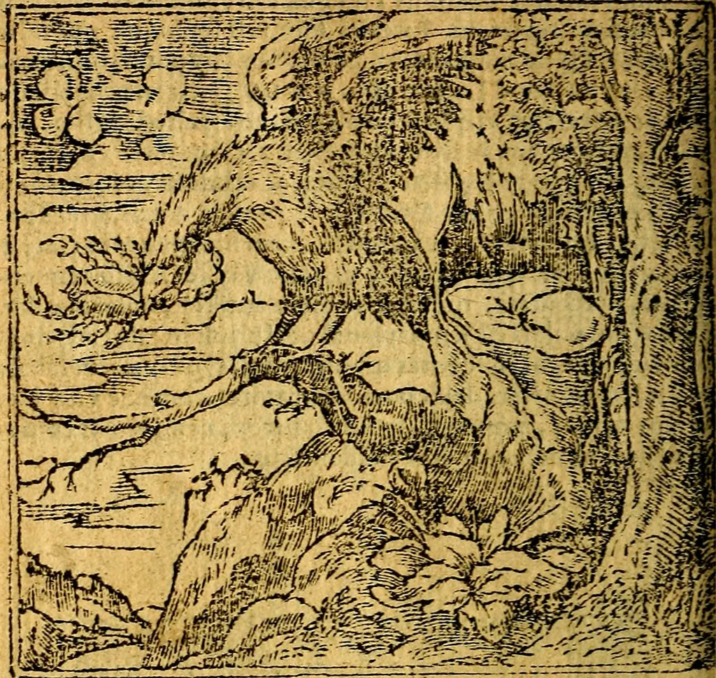 An illustration from Omnia D. And. Alciati emblemata : ad quae singula, praeter concinnas acutásque inscriptiones, lepidas & expressas imagines, ac caetera omnia, quae prioribus nostris editionibus cúm ad eorum distinctionem, tum ad ornatum & correctionem adhibita continebantur, : nunc primùm perelegantia persubtiliáq[ue] adiecta sunt epimuthia, quibus emblematum amplitudo quaecunq[ue] in iis dubia sunt aut obscura, tanquam perspicuis illustrantur, 1566, leaf 207
